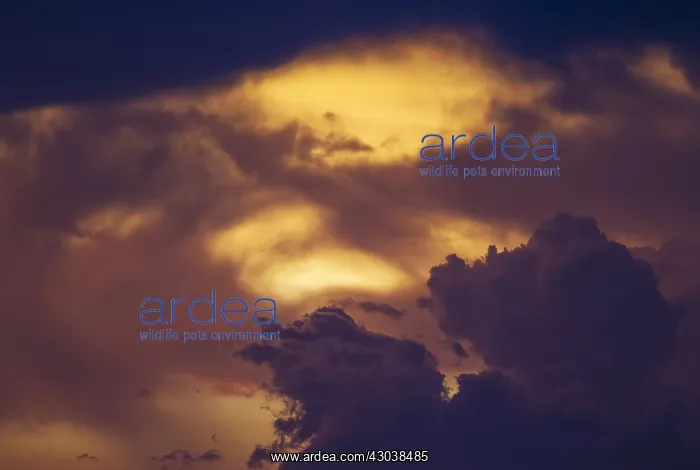 : Cumulonimbus clouds in the evening during the rainy : Cumulonimbus clouds in the evening during the rainy