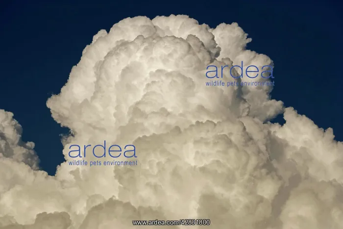 : Cumulonimbus Clouds - a type of cloud that is tall : Cumulonimbus Clouds - a type of cloud that is tall