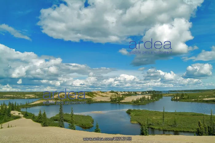 : Cumulus clouds float above lakes, Northwest : Cumulus clouds float above lakes, Northwest