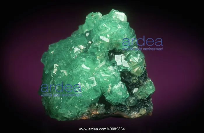 : Cuprian Smithsonite : Cuprian Smithsonite