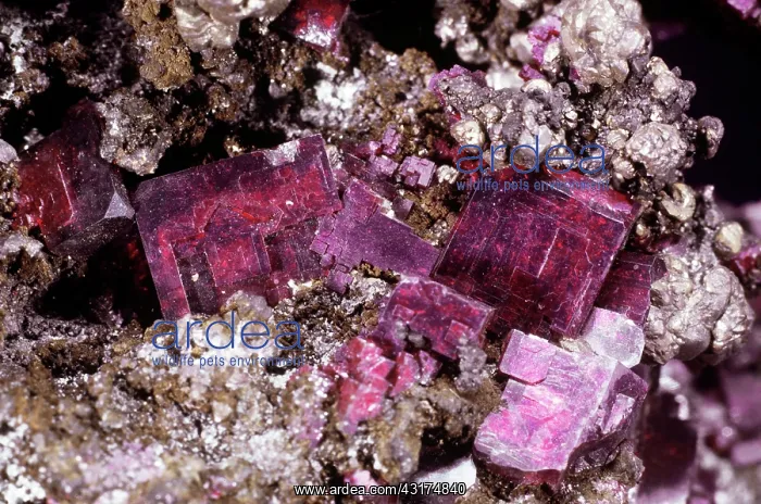 : Cuprite from Bisbee, Arizona : Cuprite from Bisbee, Arizona