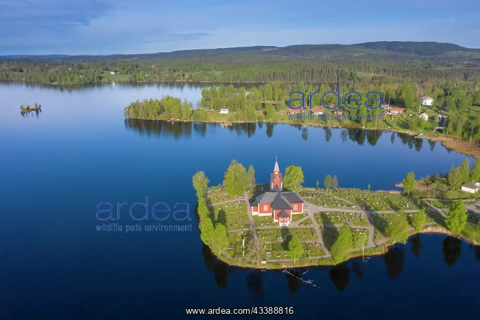 : Curch Raemmen : Curch Raemmen