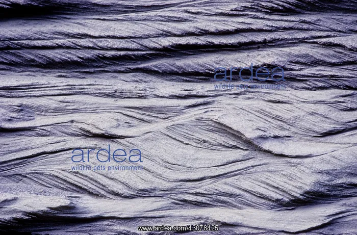: Current bedding : Current bedding
