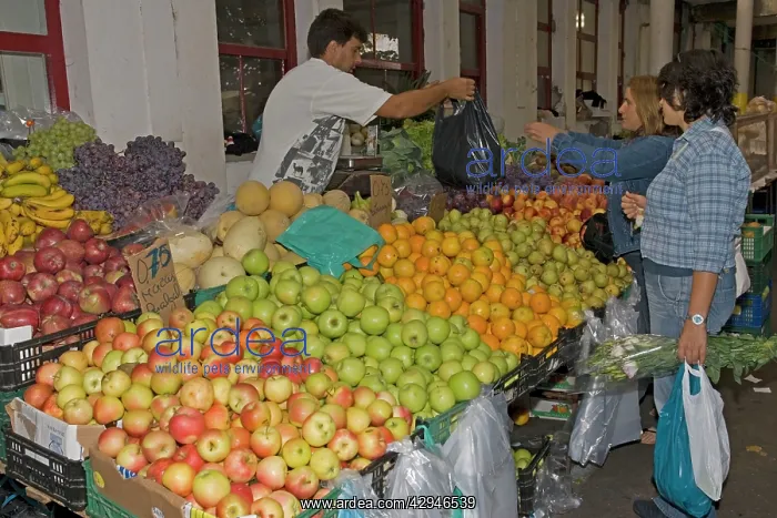 : Cusomers buying fruit in market at Vila do Conde : Cusomers buying fruit in market at Vila do Conde