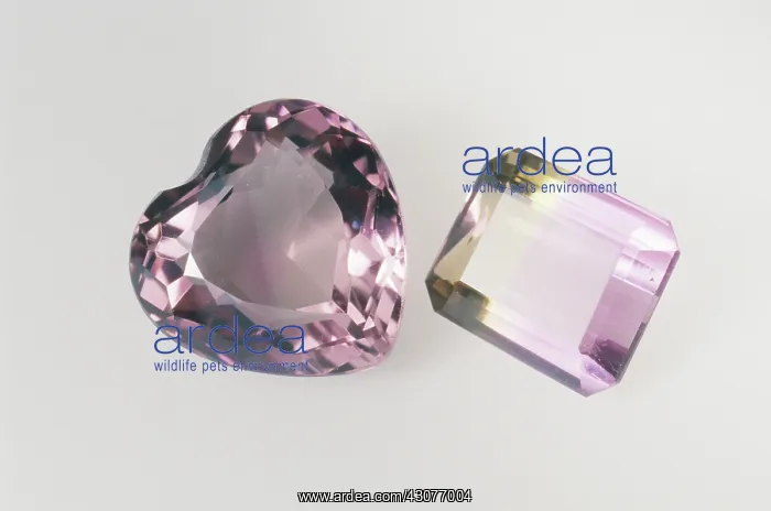 : Cut Amethyst : Cut Amethyst