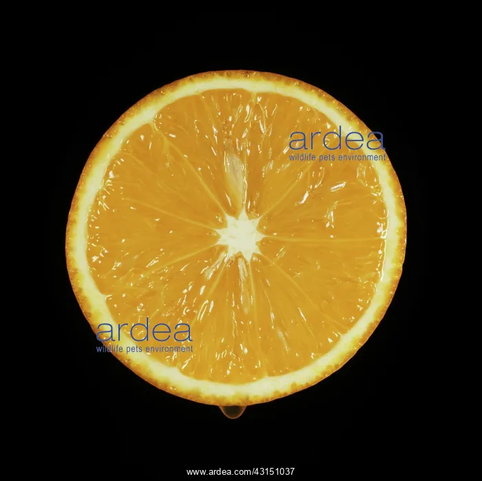: Cut Pineapple Orange : Cut Pineapple Orange
