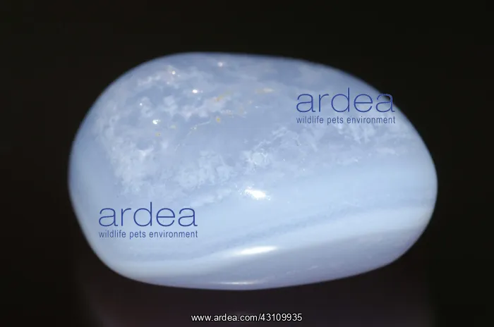 : Cut Polished Blue Lace Agate Gemstone : Cut Polished Blue Lace Agate Gemstone