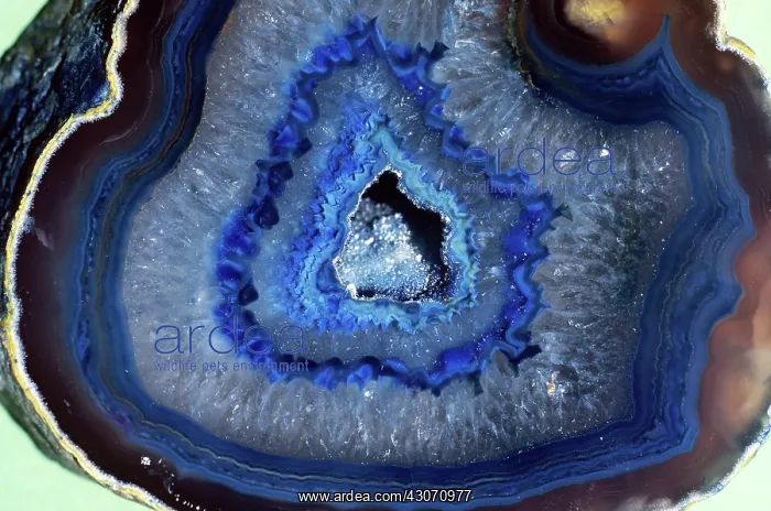 : Geode. A cut and polished geode : Geode. A cut and polished geode