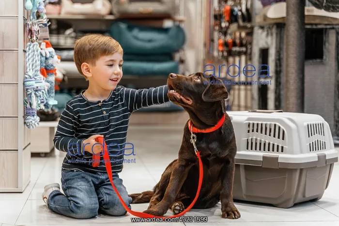 : cute brown dog pet shop : cute brown dog pet shop