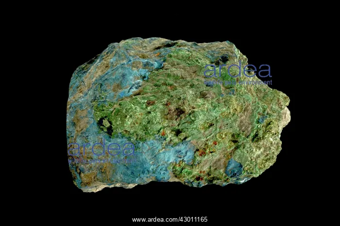 : Cyanotrichite mined in early 1900's : Cyanotrichite mined in early 1900's