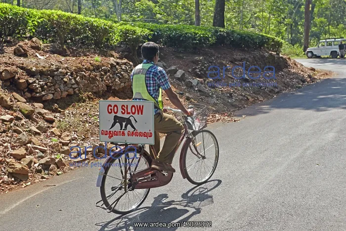 : Cyclist with a sign warning motorists of wildlife : Cyclist with a sign warning motorists of wildlife