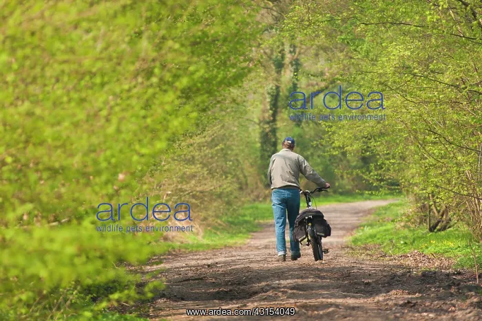: Cyclist walking on dirt road in spring : Cyclist walking on dirt road in spring