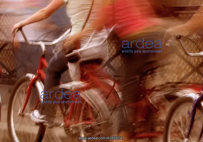 : Cyclists - blurred motion : Cyclists - blurred motion