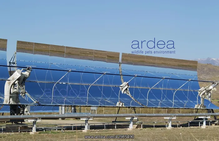 : Cylindrical Parabolic Collectors - generating energy : Cylindrical Parabolic Collectors - generating energy