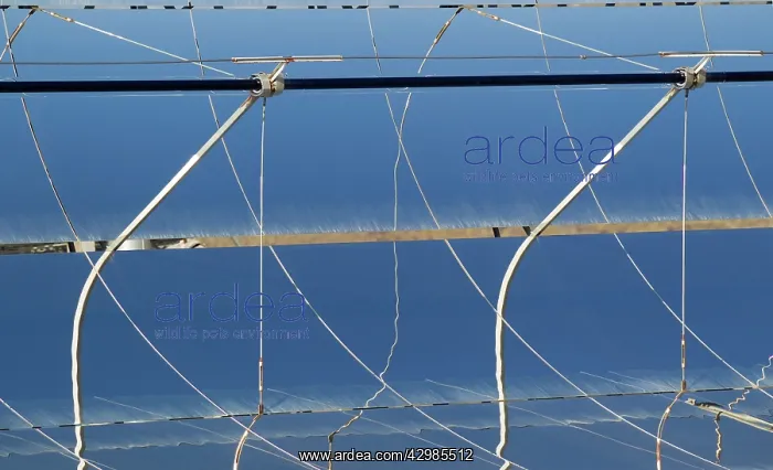 : Cylindrical Parabolic Collectors - generating energy : Cylindrical Parabolic Collectors - generating energy
