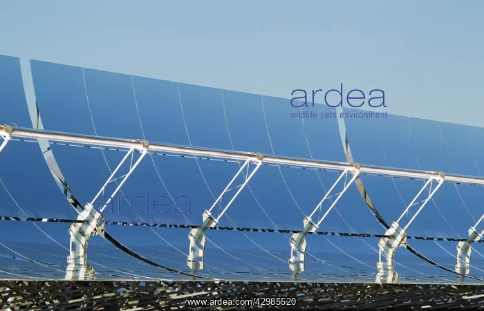 : Cylindrical Parabolic Collectors - generating energy : Cylindrical Parabolic Collectors - generating energy