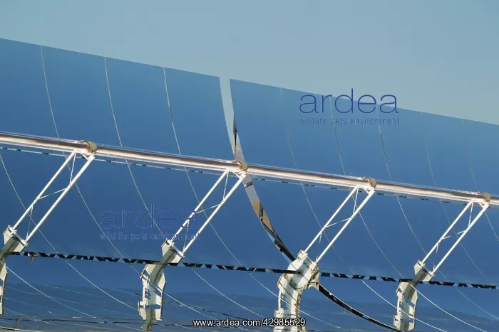 : Cylindrical Parabolic Collectors - generating energy : Cylindrical Parabolic Collectors - generating energy