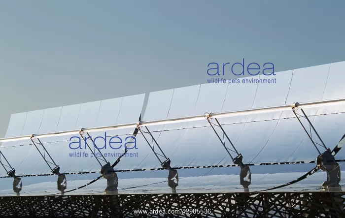 : Cylindrical Parabolic Collectors - generating energy : Cylindrical Parabolic Collectors - generating energy