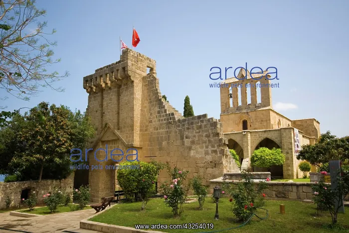 : Cyprus, Bellapais, Gothic Abbey : Cyprus, Bellapais, Gothic Abbey