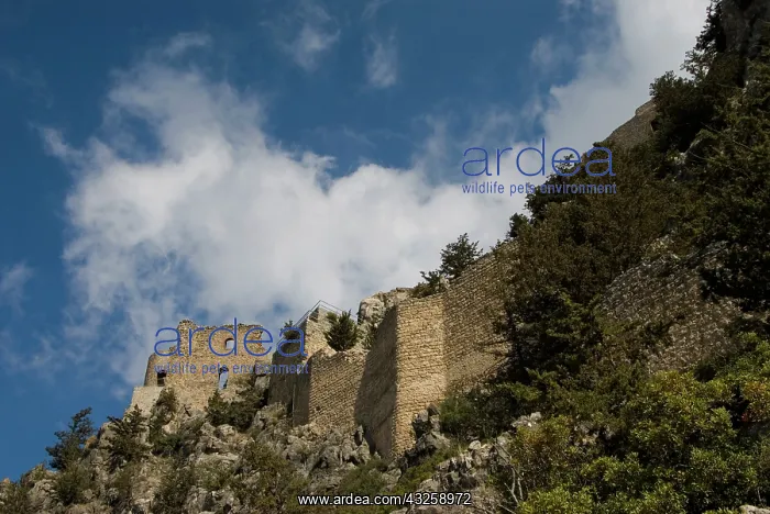 : Cyprus, Buffavento castle : Cyprus, Buffavento castle