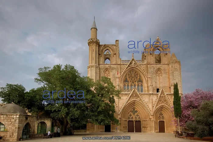 : Cyprus, Famagosta, Lala Mustafa Pasha Mosque : Cyprus, Famagosta, Lala Mustafa Pasha Mosque