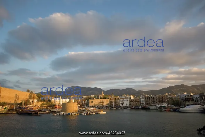 : Cyprus, Girne (or Kyrenia), Harbour : Cyprus, Girne (or Kyrenia), Harbour