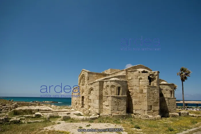 : Cyprus, Karpas peninsula, Dipkarpaz, Ayios : Cyprus, Karpas peninsula, Dipkarpaz, Ayios