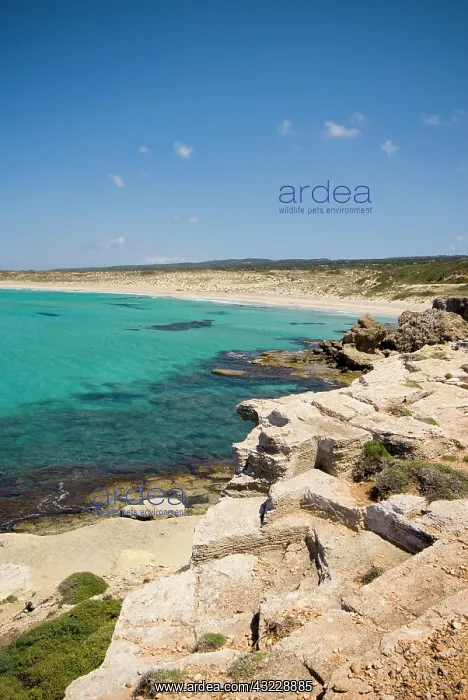 : Cyprus, Karpas peninsula, Dipkarpaz, coast : Cyprus, Karpas peninsula, Dipkarpaz, coast