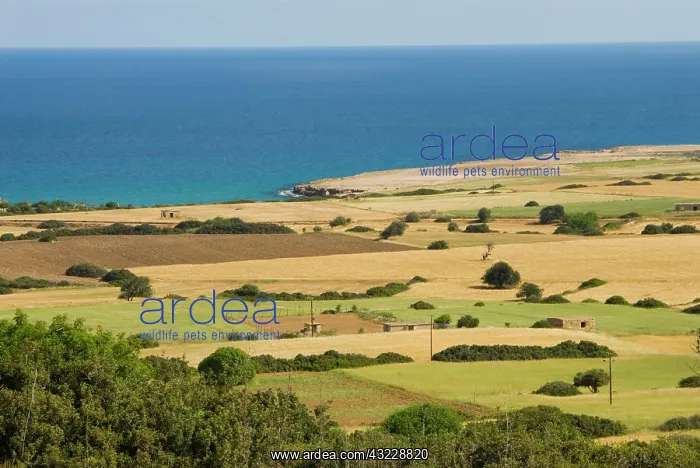 : Cyprus, Karpas peninsula, view near Cape : Cyprus, Karpas peninsula, view near Cape
