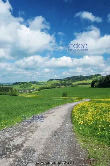: Czech Republic, Bohemia, Bohemian Spring : Czech Republic, Bohemia, Bohemian Spring