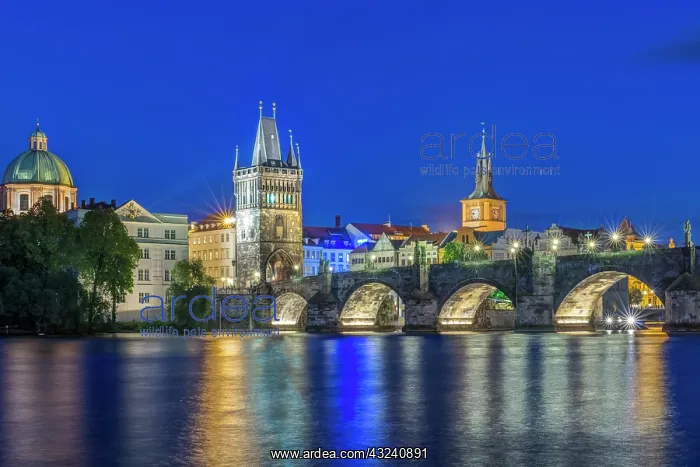 : Czech Republic, Bohemia, Prague, Charles : Czech Republic, Bohemia, Prague, Charles