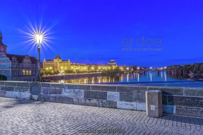 : Czech Republic, Bohemia, Prague, Charles : Czech Republic, Bohemia, Prague, Charles