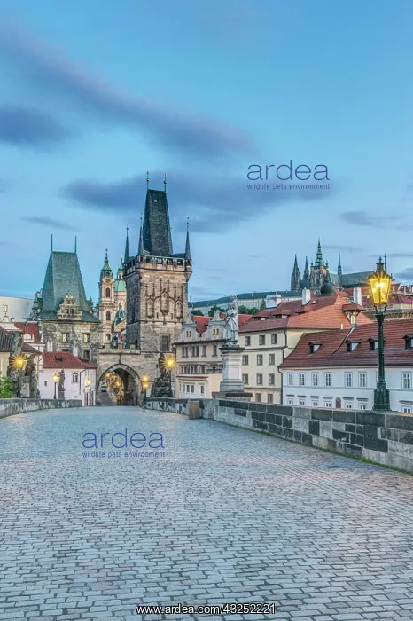 : Czech Republic, Bohemia, Prague, Charles : Czech Republic, Bohemia, Prague, Charles