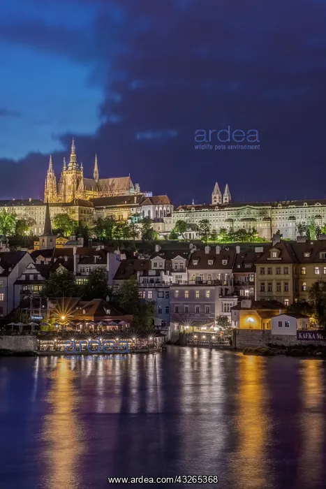 : Czech Republic, Bohemia, Prague, Prague : Czech Republic, Bohemia, Prague, Prague