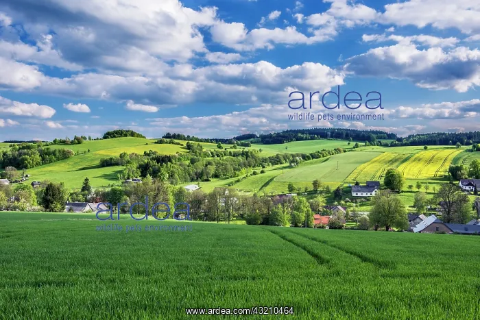 : Czech Republic, Bohemia, Spring Farm Fields : Czech Republic, Bohemia, Spring Farm Fields