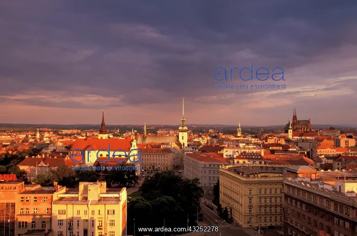 : Czech Republic, Brno. View of old town at : Czech Republic, Brno. View of old town at