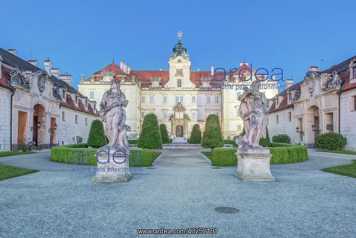 : Czech Republic, Moravia, Valtice, Valtice : Czech Republic, Moravia, Valtice, Valtice