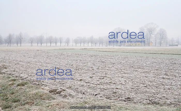 : Czech Republic, North Moravia, Beskydy : Czech Republic, North Moravia, Beskydy