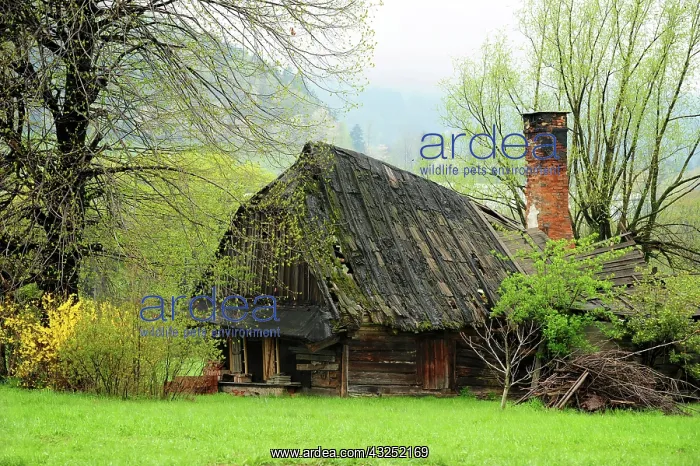 : Czech Republic, North Moravia, Beskydy : Czech Republic, North Moravia, Beskydy