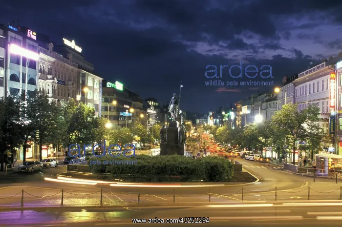 : Czech Republic, Prague. Wenceslas Square : Czech Republic, Prague. Wenceslas Square