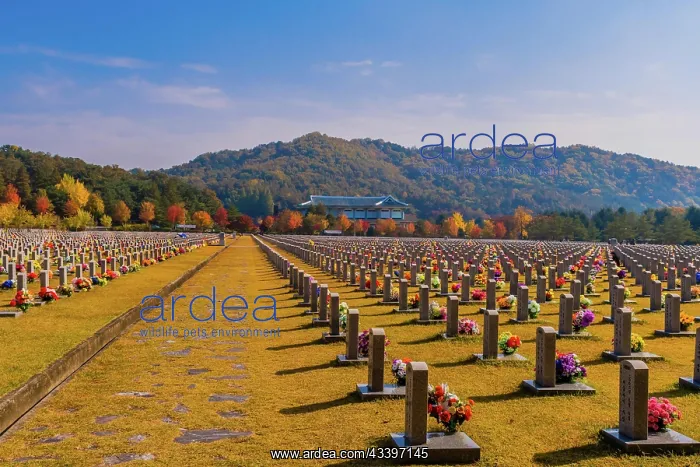 : Daejeon, South Korea, November 3, 2019: Rows of : Daejeon, South Korea, November 3, 2019: Rows of