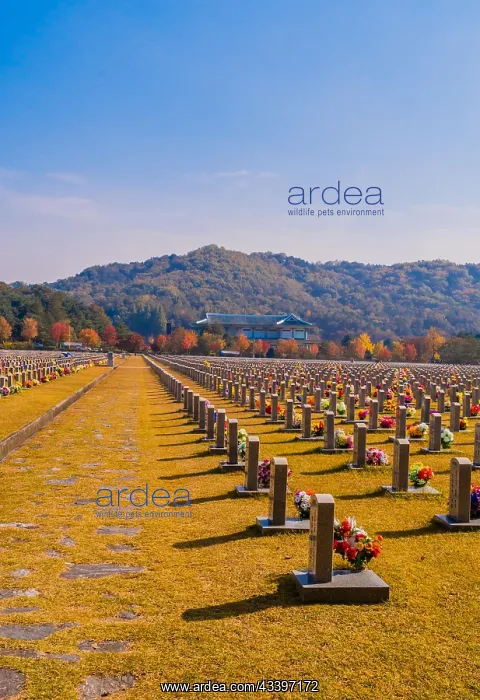 : Daejeon, South Korea, November 3, 2019: Rows of : Daejeon, South Korea, November 3, 2019: Rows of