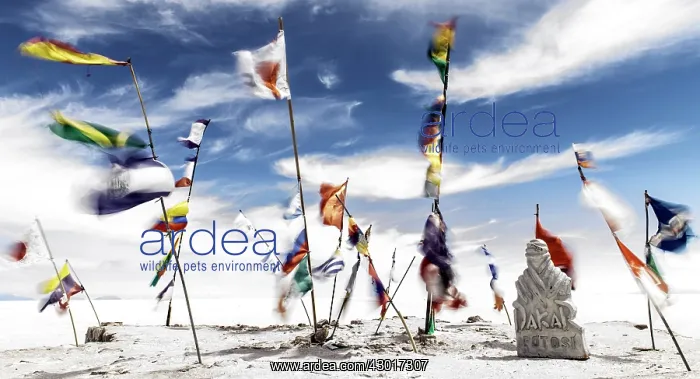  : Dakar Rally Monument to the Flag