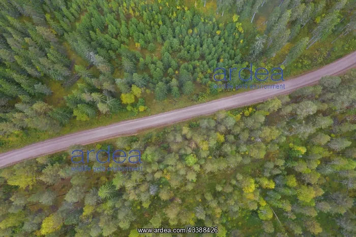 : Dalarna aerial : Dalarna aerial