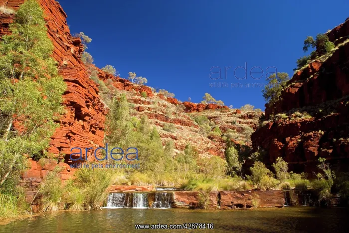 : Dales Gorge - stream flows down Dales Gorge over : Dales Gorge - stream flows down Dales Gorge over