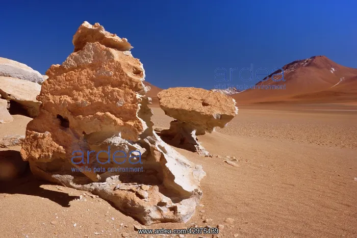 : Dali Rocks - wind and sand artfully sculpted rock : Dali Rocks - wind and sand artfully sculpted rock