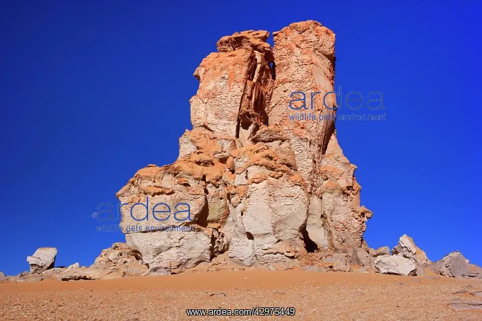 : Dali Rocks - wind and sand artfully sculpted rock : Dali Rocks - wind and sand artfully sculpted rock
