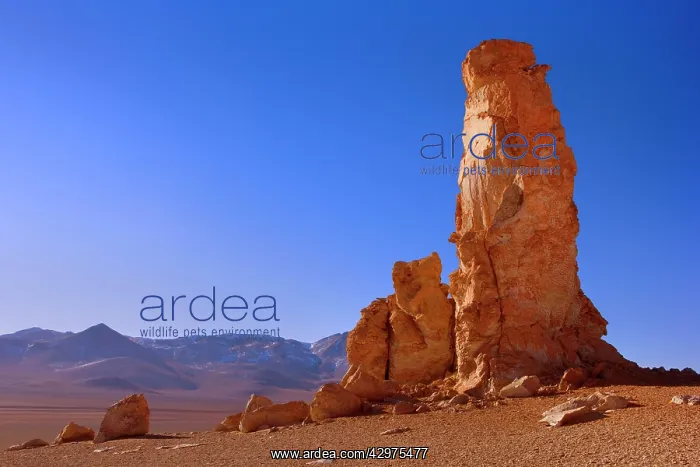 : Dali Rocks - wind and sand artfully sculpted rock : Dali Rocks - wind and sand artfully sculpted rock