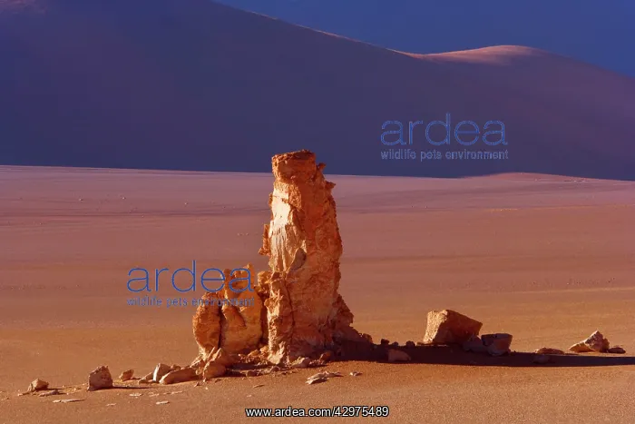 : Dali Rocks - wind and sand artfully sculpted rock : Dali Rocks - wind and sand artfully sculpted rock