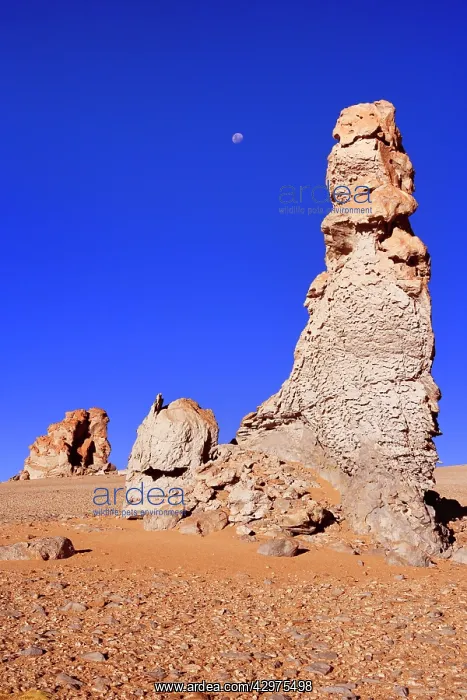  : Dali Rocks - wind and sand artfully sculpted rock